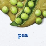 Gerber Stage 2 Baby Food Peas, Baby Peas Puree Tub, No Added Salt, No Artificial Colors or Flavors, Baby Puree, Baby Food Vegetables, 16-Pack (EXP: JUNE 30/2026) - Image 2