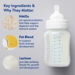 Similac 360 Total Care Infant Formula, Has 5 HMO Prebiotics, Our Closest Prebiotic Blend to Breast Milk, Non-GMO, Baby Formula, Ready to Feed, 8-fl-oz Bottle, Pack of 24 - Image 3