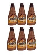 Hershey's SUNDAE DREAM Thick And Delicious CARAMEL SYRUP 15 oz, 6 Bottles/Case